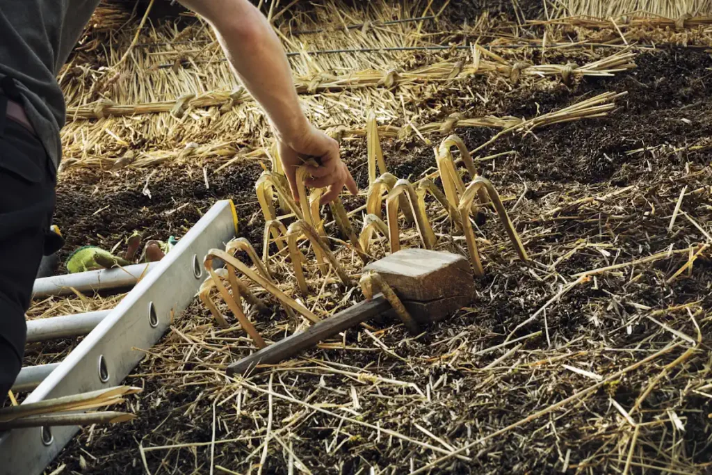 Un artisan chaumier qui intervient sur un toit