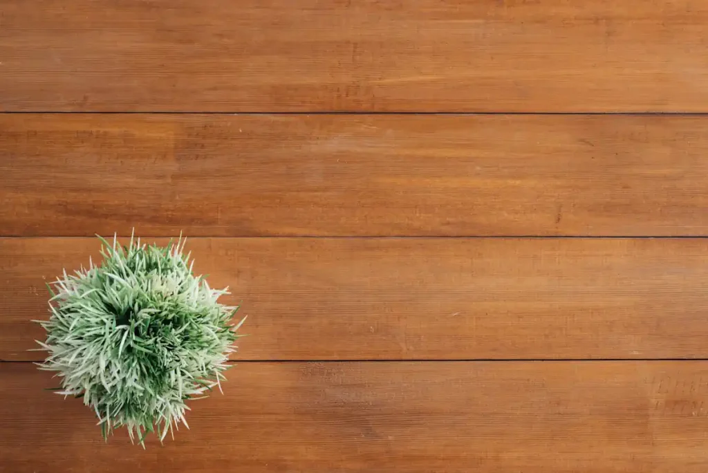 un parquet en bambou sur lequel est posé une plante