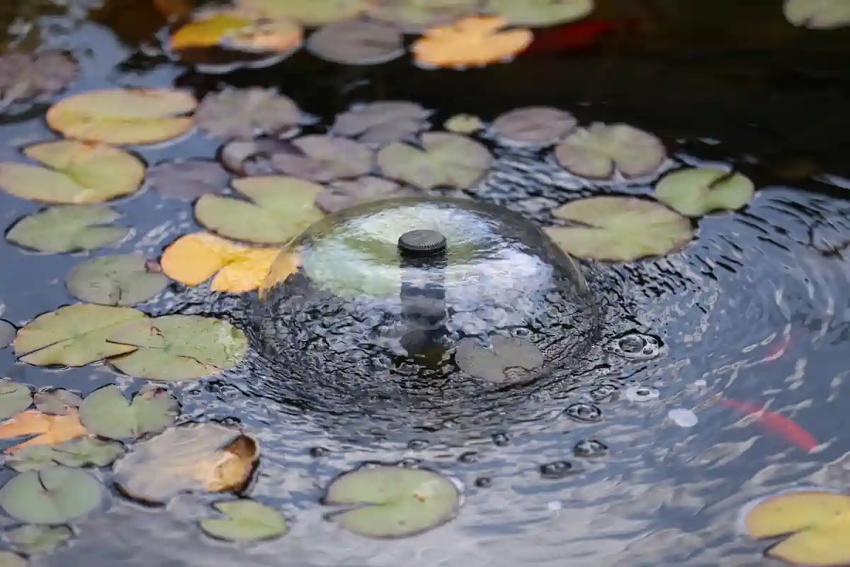 Une fontaine d'eau avec des nénuphars à l'intérieur