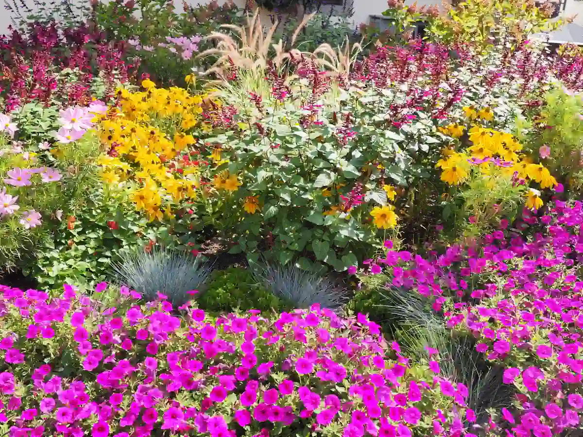 Un jardin avec des plantes colorées
