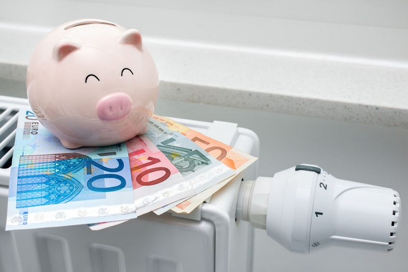 cochon avec des billets