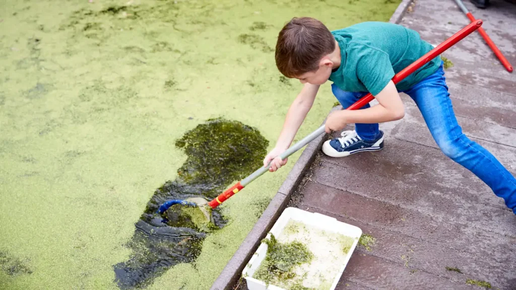 Un petit garçon qui nettoie une piscine avec une eau trouble