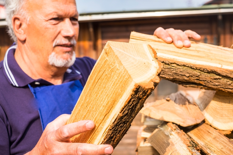 homme qui prend le bois de chauffage